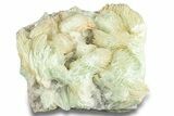 Green, Bladed Prehnite Crystals with Quartz - Morocco #255513-1